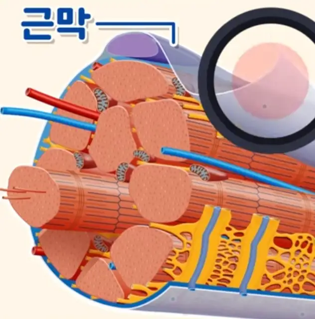테라피스트유진 사진 8