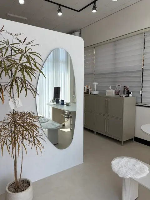 누벨브로우 사진 8