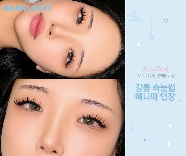 바니래쉬 사진 2