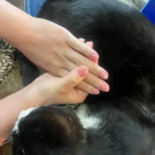 제이벨네일 사진