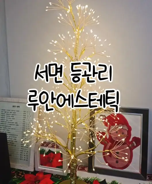 루안에스테틱 부전점 사진 7
