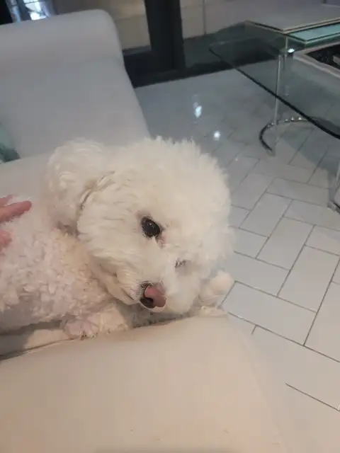 벨로헤어 상수역점 사진 3