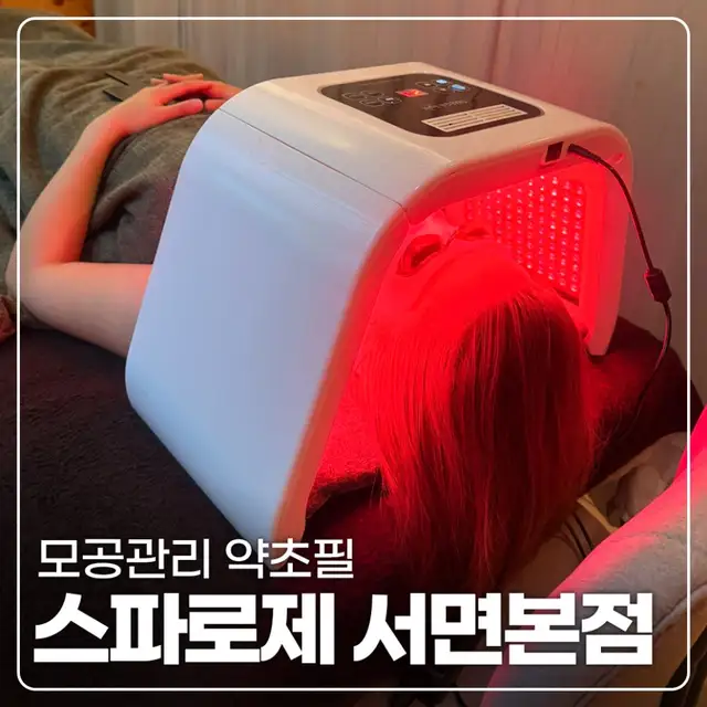스파로제 사진 5