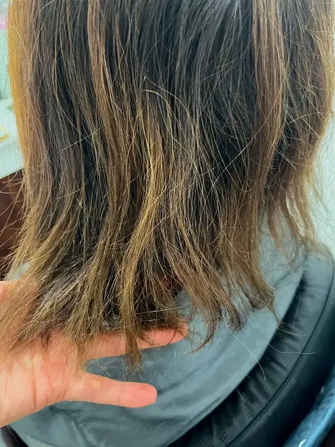 프로헤어 사진 6