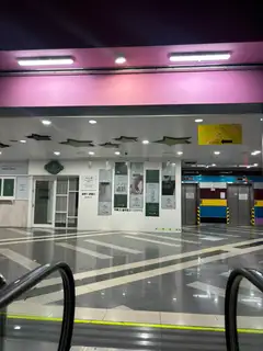 로미래쉬 사진