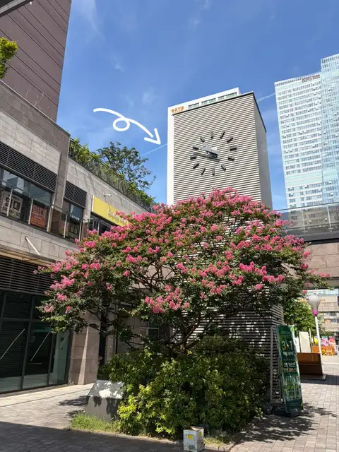 온누아에스테틱 송도점 사진 8