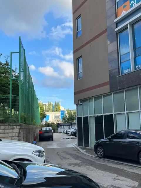 다이브헤어 사진 4