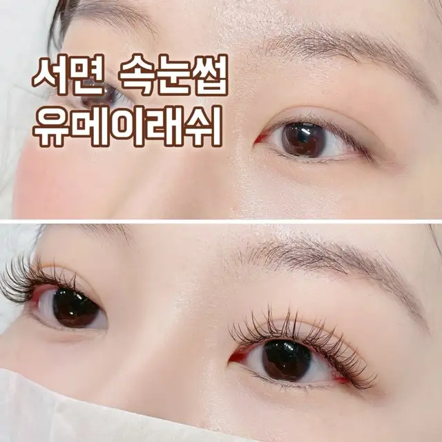 유메이래쉬 사진 5
