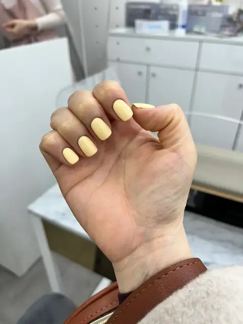 네일루씨르 사진 2