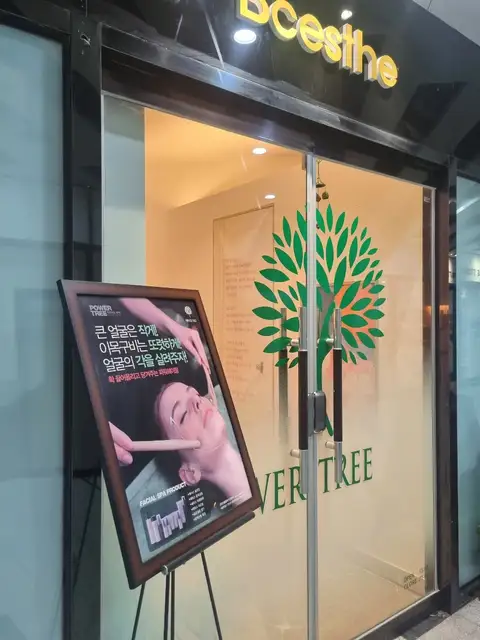 비씨에스테 사진 6