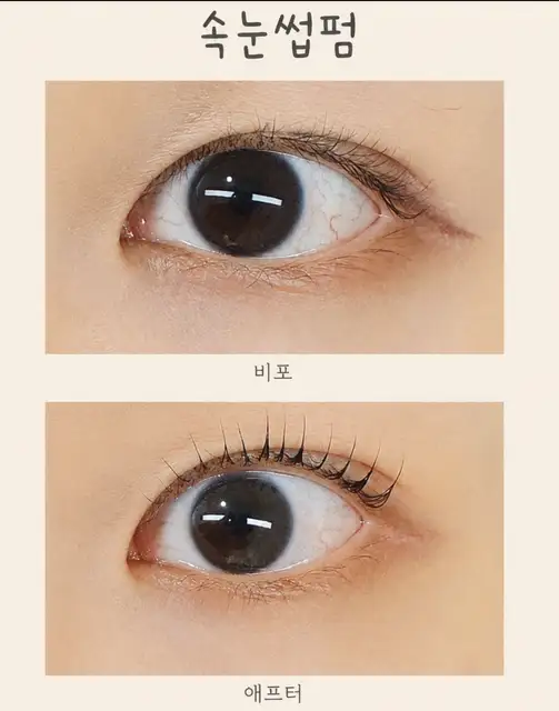 모드래쉬 사진 5