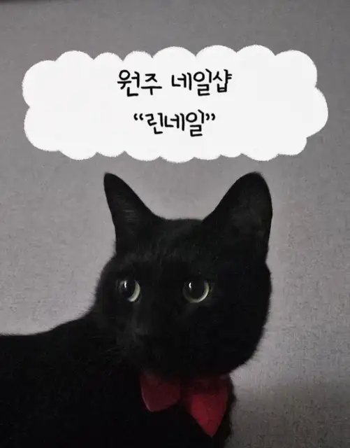 린네일 사진 1