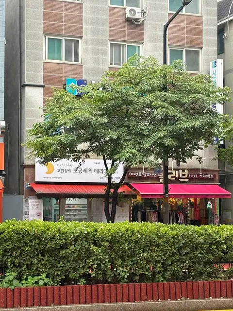 히엘네일 사진 4