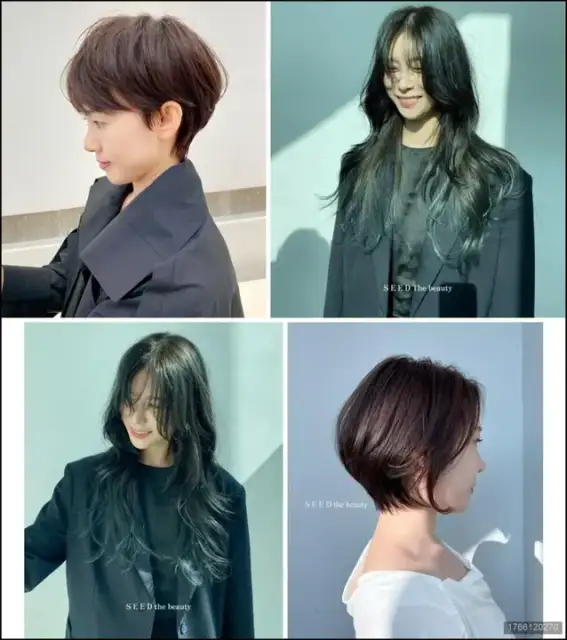 시드더뷰티 사진 6