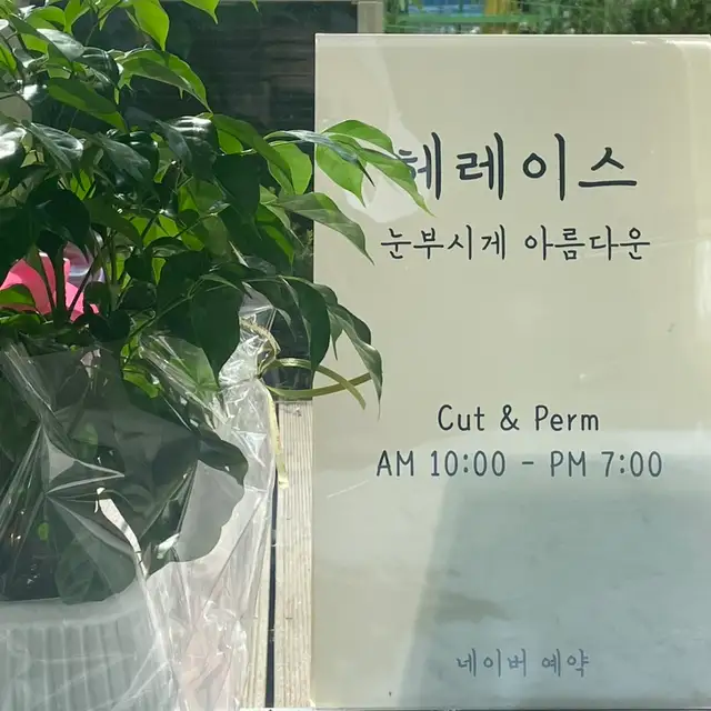 헤레이스 사진 8