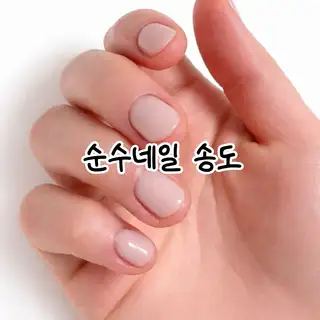 순수네일 사진