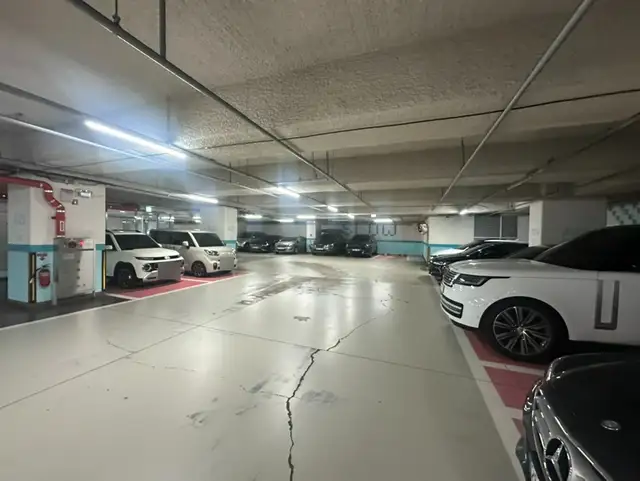 글로잉 사진 4