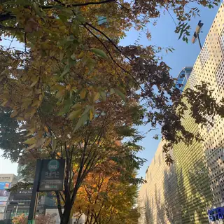 마이베헤어 건대점 사진