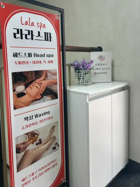 라라스파 사진 6