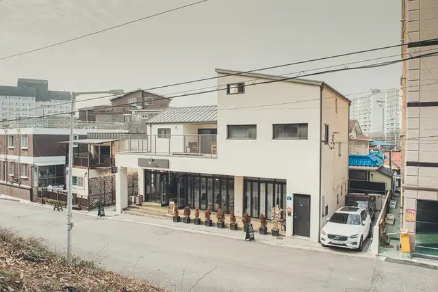 메이어스 사진 3