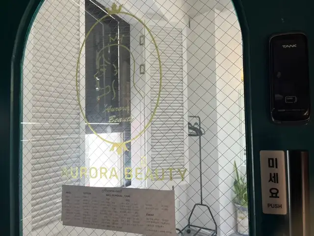 아우로라네일 사진 8