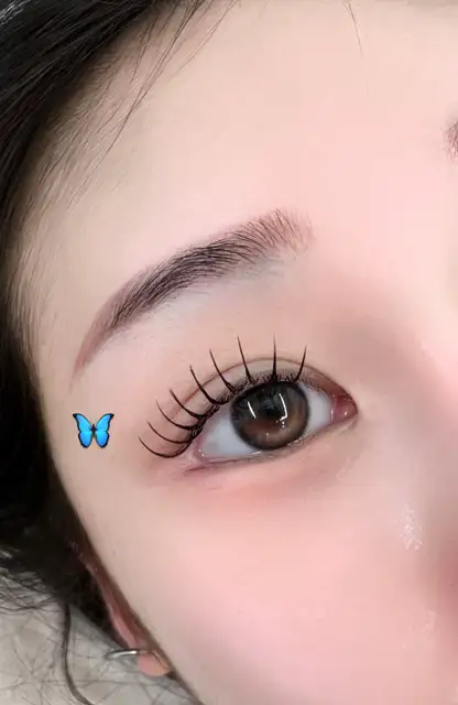 아뮤어래쉬 사진 5