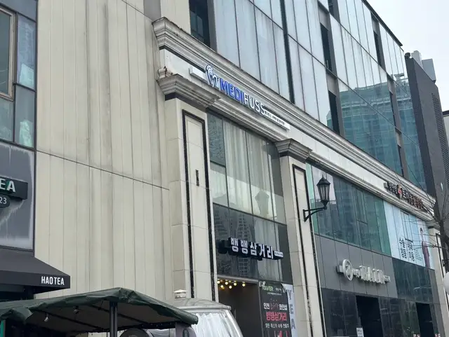 메디푸스 사진 6