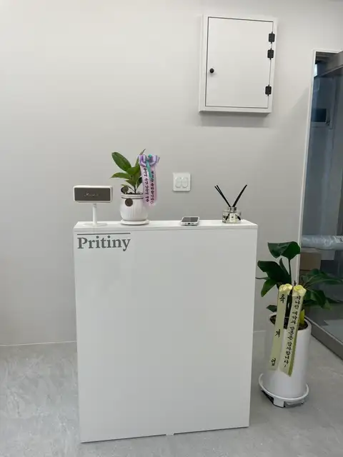 프리티니 사진 8