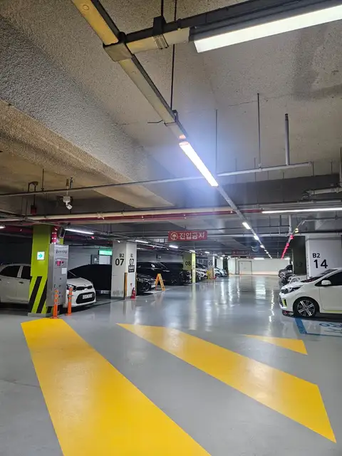 단스킨 사진 5