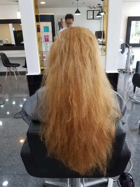 밀팜헤어 사진 3