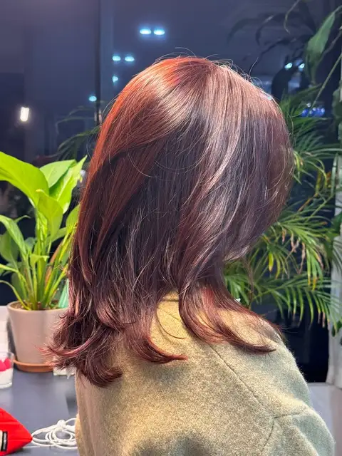 어스헤어 사진 2