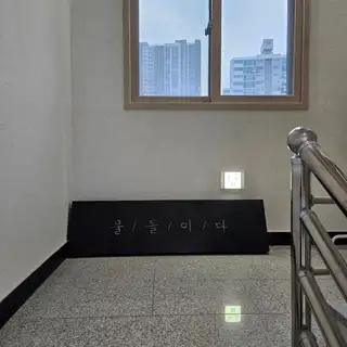 물들이다 사진