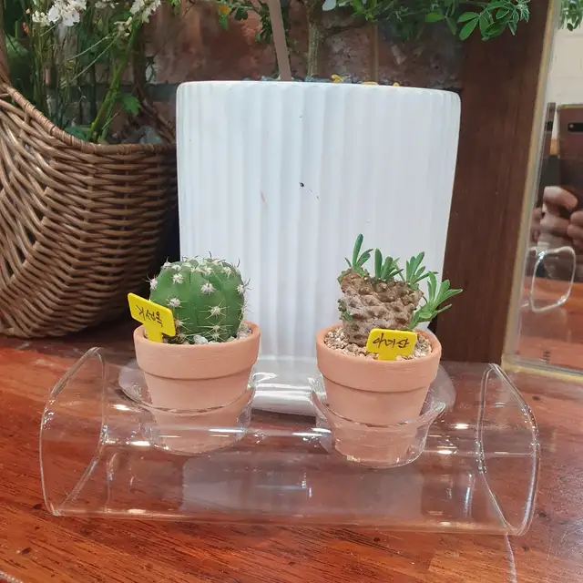 댕기와상투 사진 4