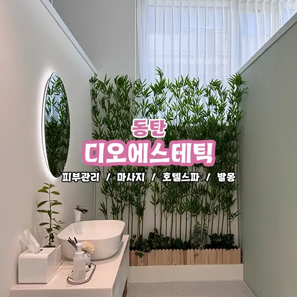 디오 에스테틱 사진 7