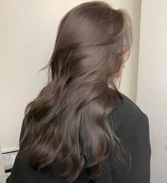 류브 사진 7