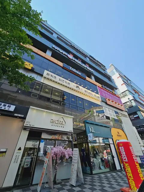 디온 사진 6
