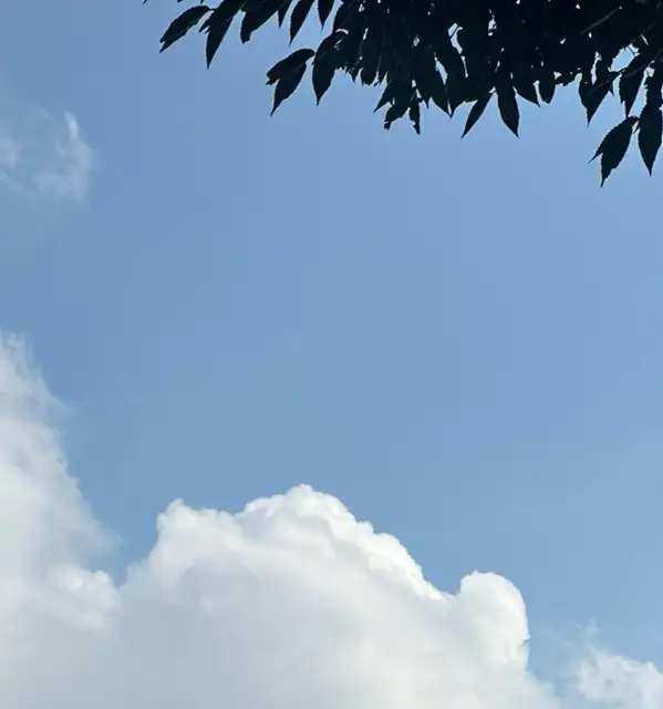 핑퐁래쉬 사진 7