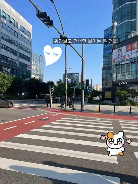 디어르 사진 5