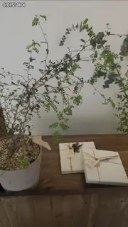아마도헤어 사진