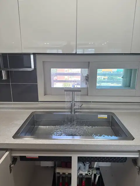 백조 사진 7