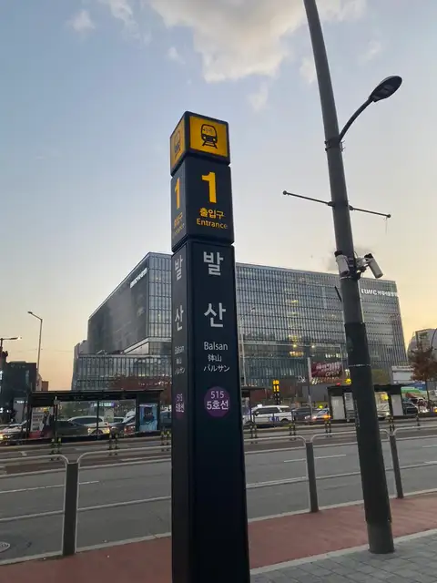여우스킨 사진 3