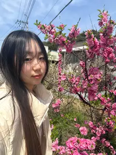 어니스트헤어 사진