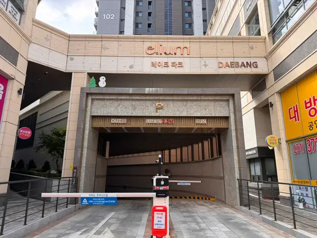 아이홀릭속눈썹 사진 8
