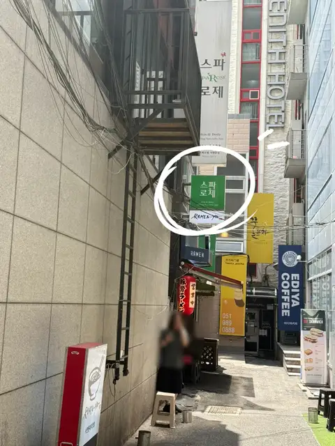 스파로제 사진 4