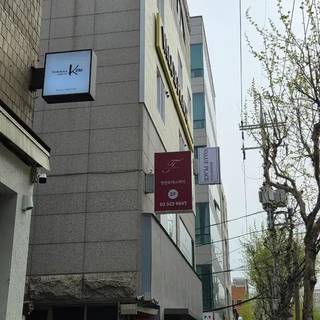탤런트에스테틱 사진 8