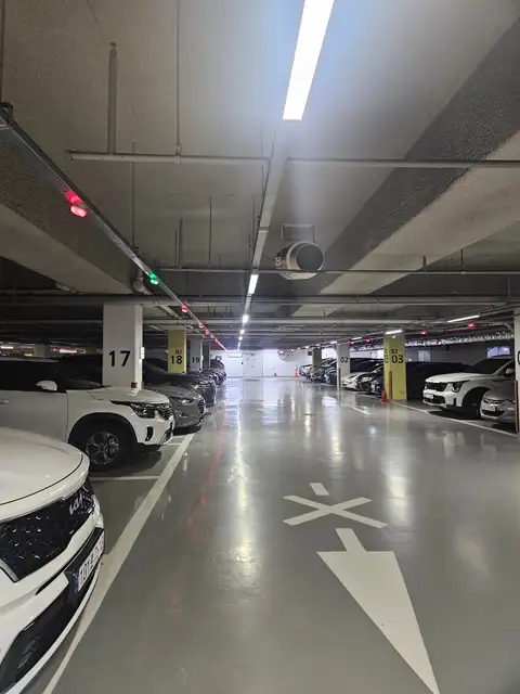 단스킨 사진 6
