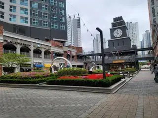 피움네일 사진