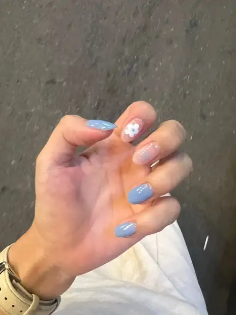 206네일 사진 3