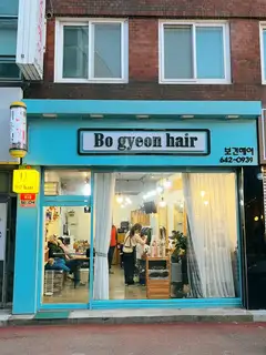 보견헤어 사진