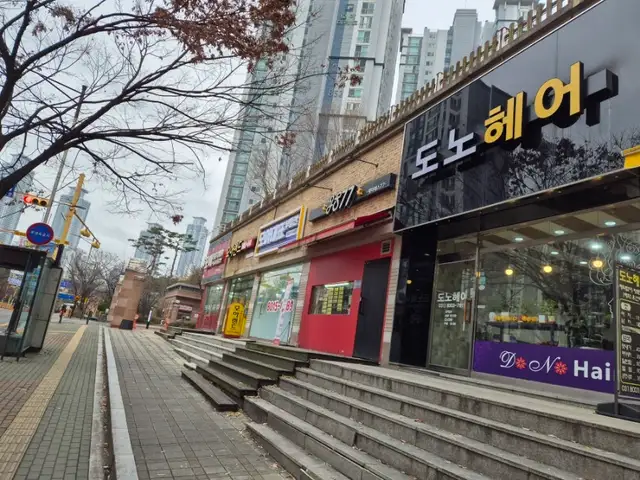도노헤어 사진 2